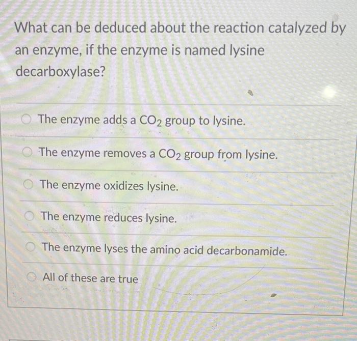 What Can Be Deduced About The Reaction Catalyzed By An Enzyme If The Enzyme Is Named Lysine Decarboxylase The Enzyme A 1