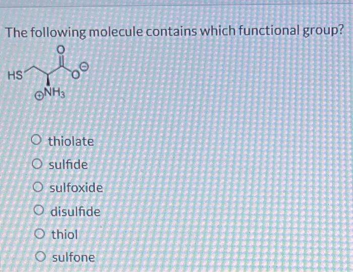 The Following Molecule Contains Which Functional Group 0 Hs Nh3 O Thiolate O Sulfide O O Sulfoxide Disulfide O Thiol O 1