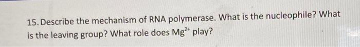 15 Describe The Mechanism Of Rna Polymerase What Is The Nucleophile What Is The Leaving Group What Role Does Mg Pl 1