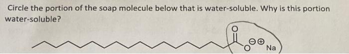 Circle The Portion Of The Soap Molecule Below That Is Water Soluble Why Is This Portion Water Soluble Na 1