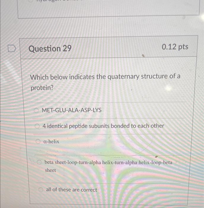 D Question 29 0 12 Pts Which Below Indicates The Quaternary Structure Of A Protein Met Glu Ala Asp Lys 4 Identical Pept 1