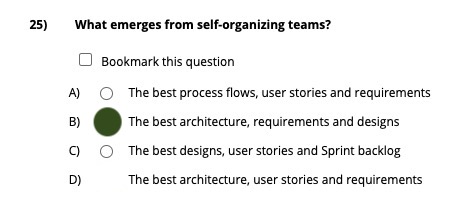 What Emerges From Self Organizing Teams