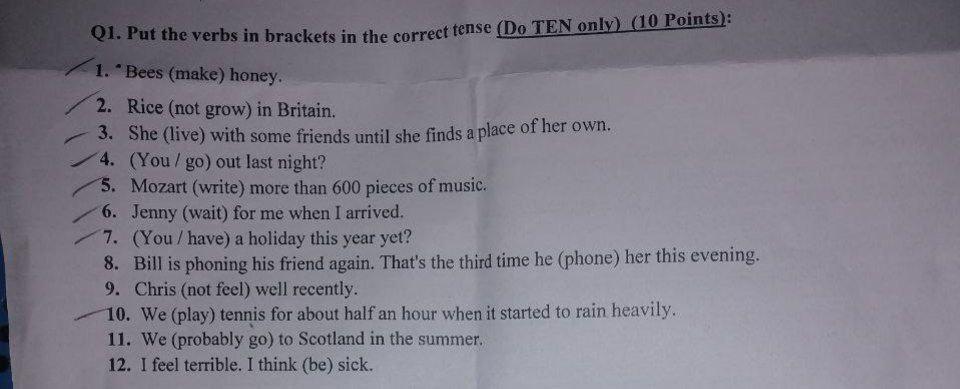 Q1 Put The Verbs In Brackets In The Correct Tense Do Ten Only 10 Points 1 Bees Make Honey 2 Rice Not Grow I 1