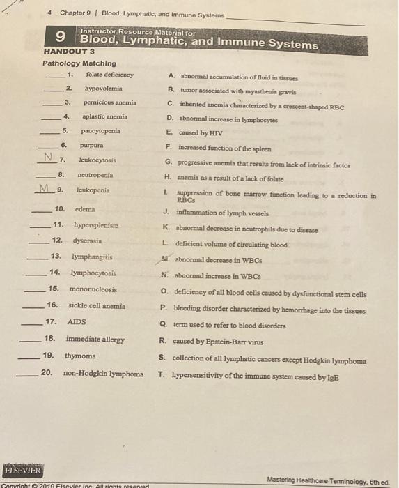 4 Chapter 9 Blood Lymphatic And Immune Systems Instructor Resource Material For 9 Blood Lymphatic And Immune Syste 1