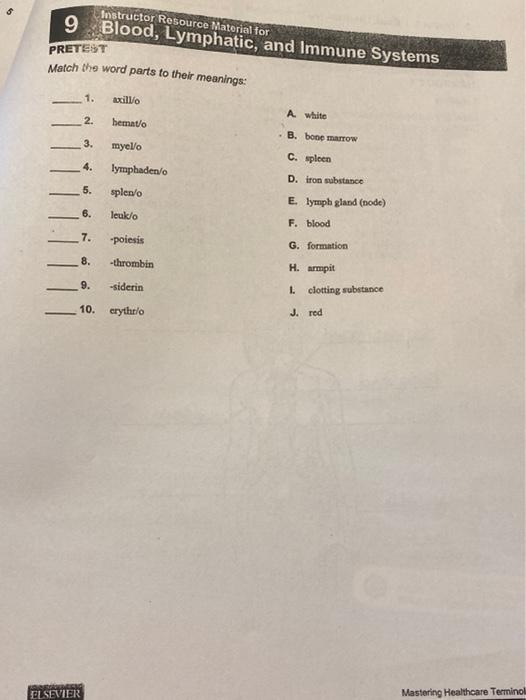 Instructor Resource Material For 9 Blood Lymphatic And Immune Systems Pretest Match The Word Parts To Their Meanings 1