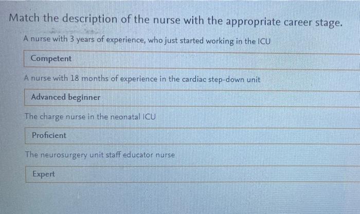 Match The Description Of The Nurse With The Appropriate Career Stage A Nurse With 3 Years Of Experience Who Just Start 1