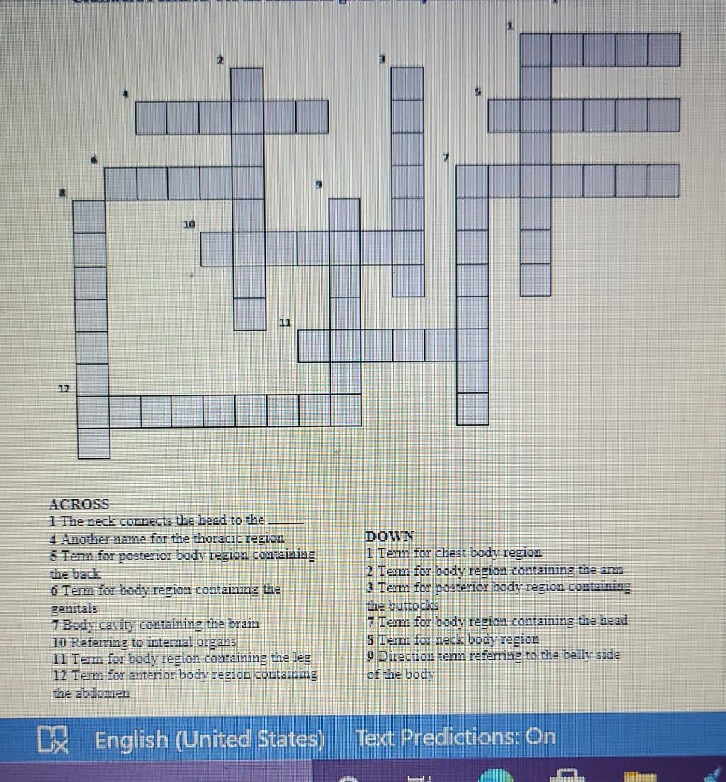 10 1 12 Across 1 The Neck Connects The Head To The 4 Another Name For The Thoracic Region 5 Term For Posterior Body Regi 1