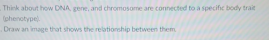Think About How Dna Gene And Chromosome Are Connected To A Specific Body Trait Phenotype Draw An Image That Shows Th 1