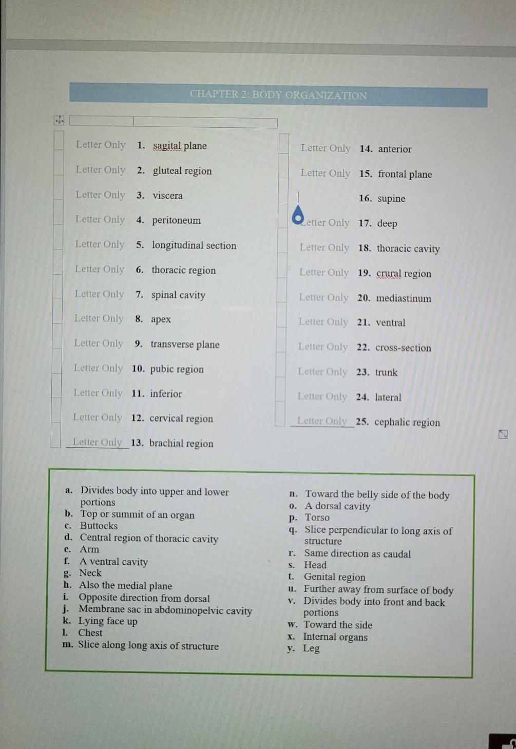 Chapter 2 Body Organization Letter Only 1 Sagital Plane Letter Only 14 Anterior Letter Only 2 Gluteal Region Letter 1