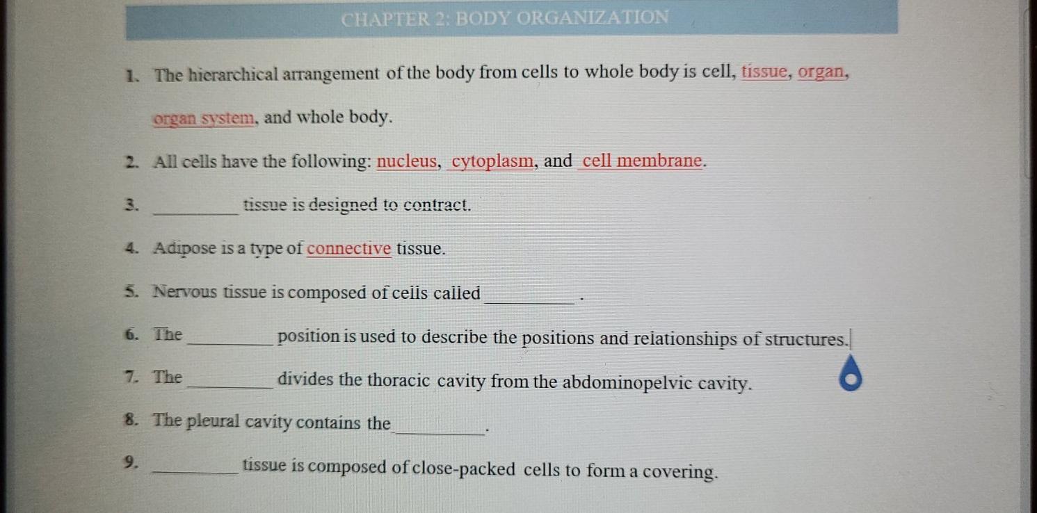 Chapter 2 Body Organization 1 The Hierarchical Arrangement Of The Body From Cells To Whole Body Is Cell Tissue Organ 1